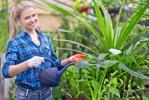 Team conducting ethical garden work in Dalston