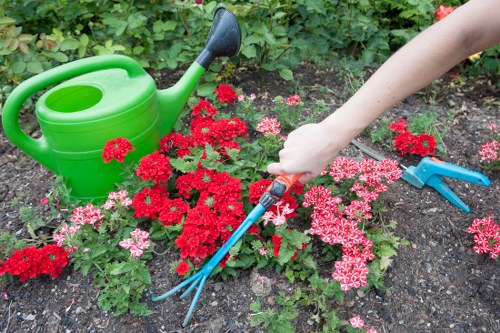 Gardener working in a Dalston back garden by a terrace house